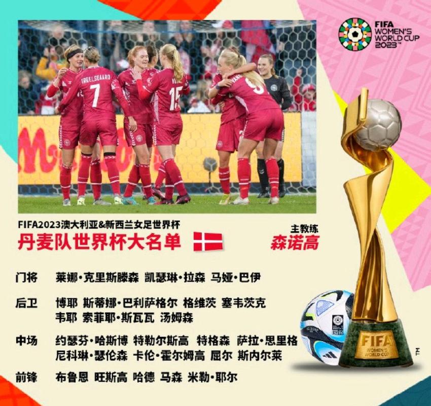 中国vs丹麦预测比分视频